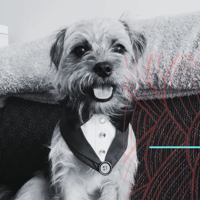 the website studio christchurch jasper (1200 x 1200 px)