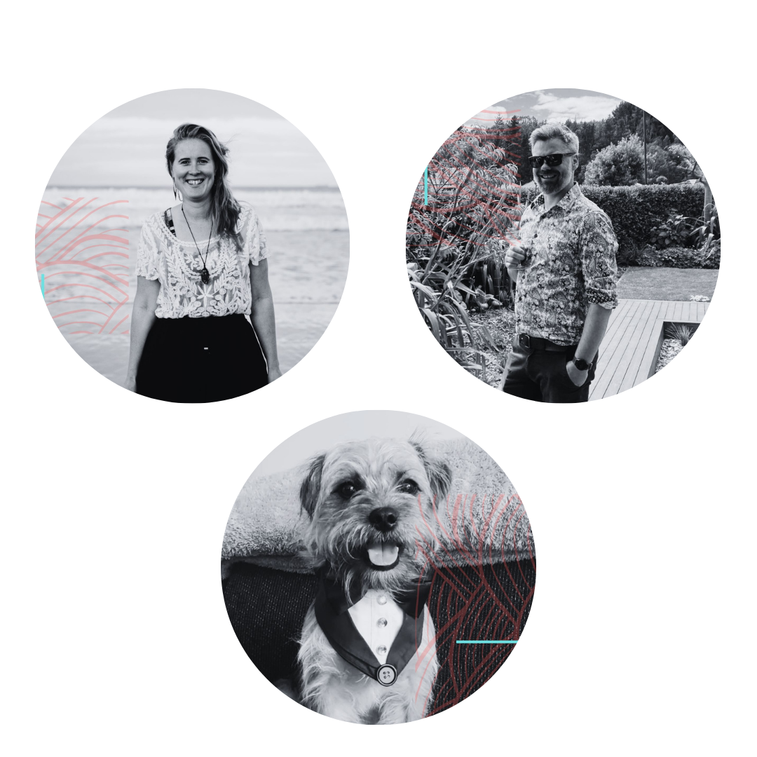 the website studio crew (instagram post)